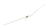 SAMSUNG RB441Q 0404-000156 DIODE-SCHOTTKY,RB441Q,10V,100MA,DO-34,TP